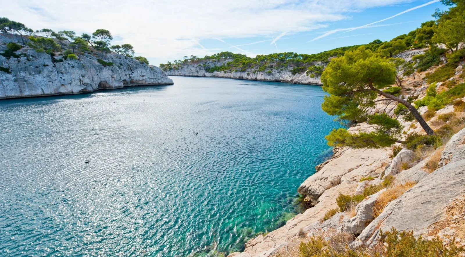 Tranquil calanque with vivid turquoise water, limestone cliffs, and pine trees